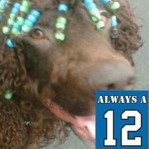 Meet your Posher, Dana